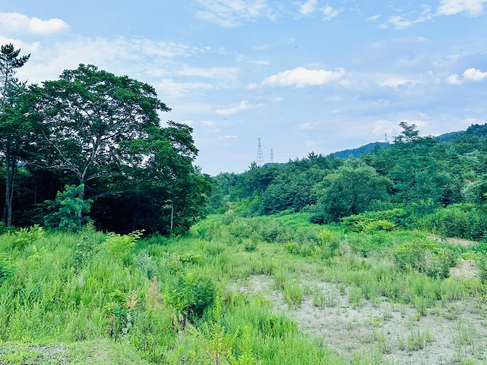 青空の下、草地の向こうに緑の丘が広がる風景