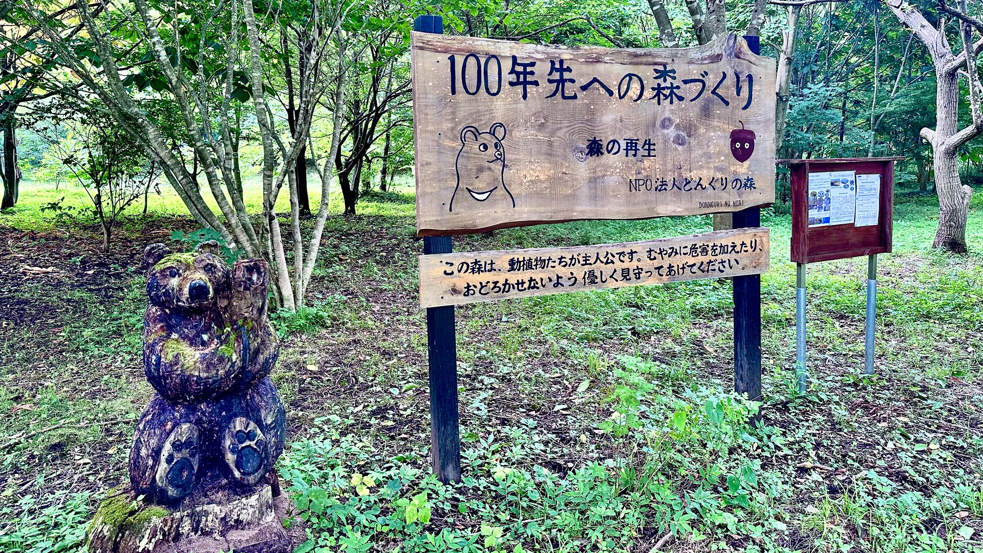 「100年先への森づくり」と書かれたどんぐりの森の看板
